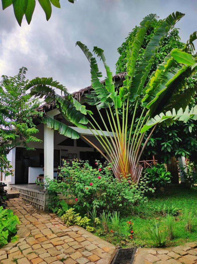 Hotel Benjamin Ambatoloaka  Exteriér fotografie